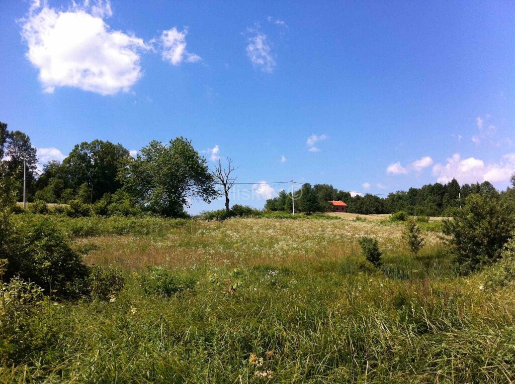 Image 6121453 - 4