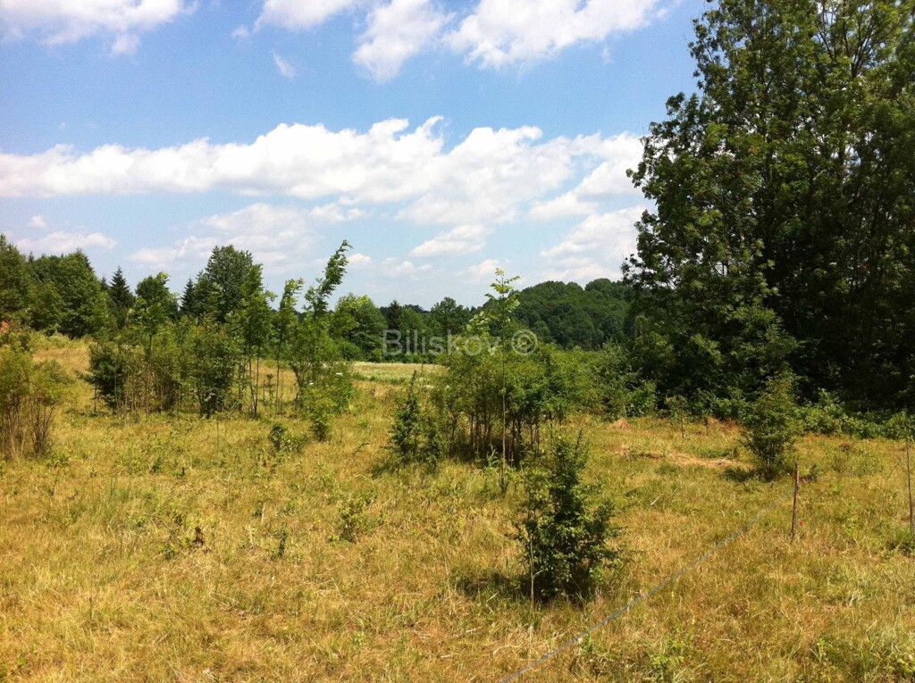 Image 6121453 - 1