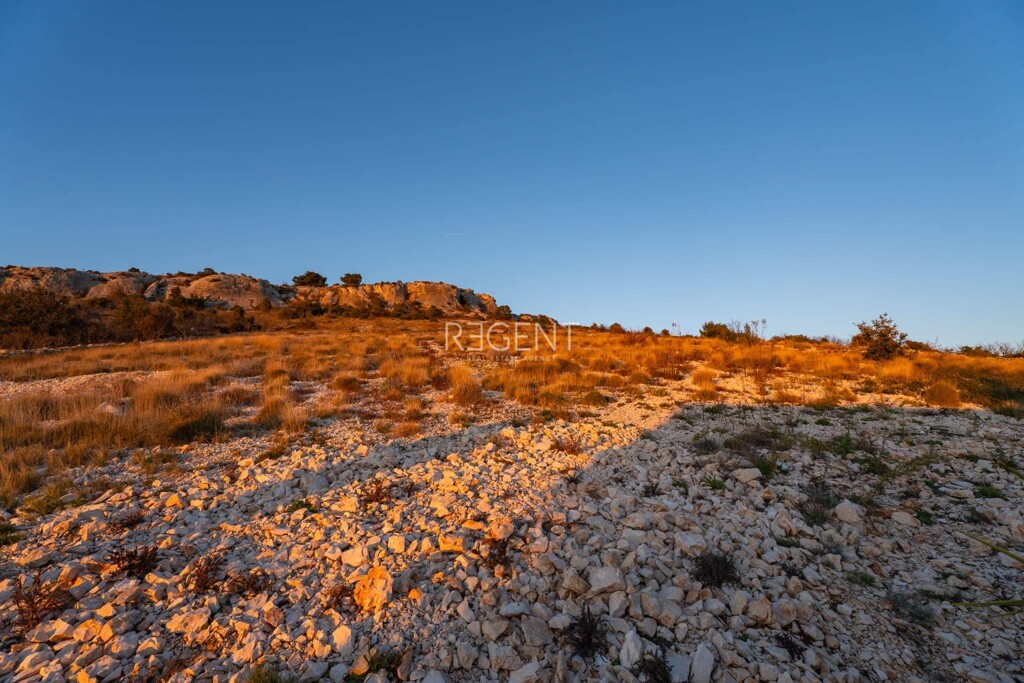 Image 6121611 - 6
