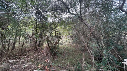 Poljoprivredno zemljište 1200m od mora - Peruški