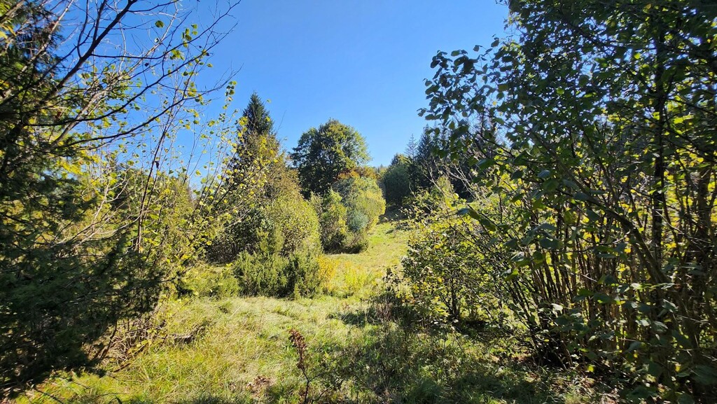 Image 6122464 - 4