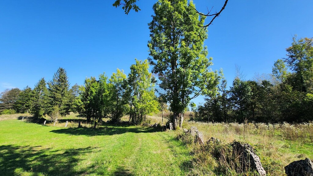 Image 6122464 - 2