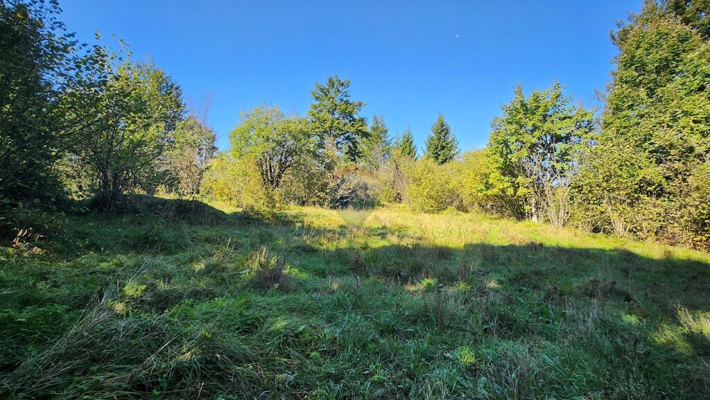 Image 6122464 - 5