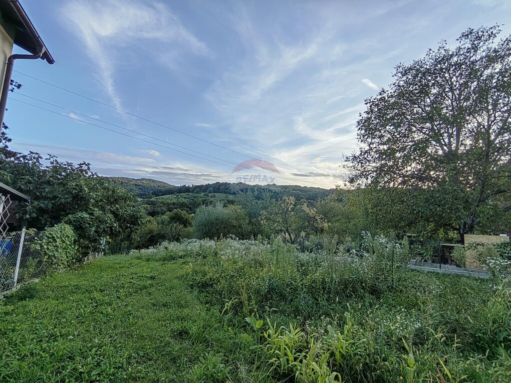 Image 6122467 - 2