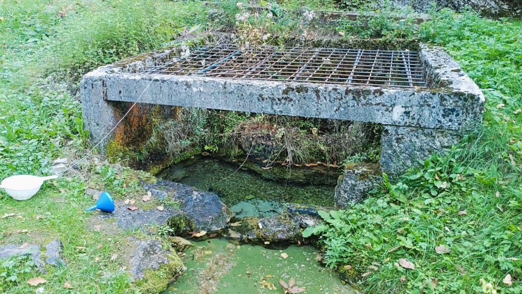 Image 6125028 - 17