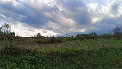 Thumbnail 6125028 - 7