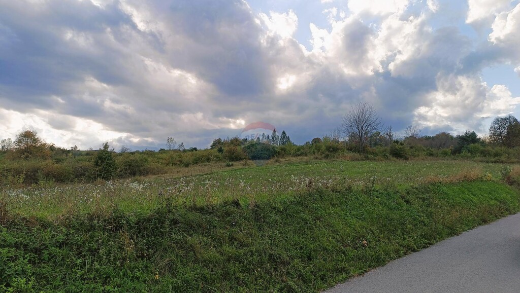 Image 6125028 - 8