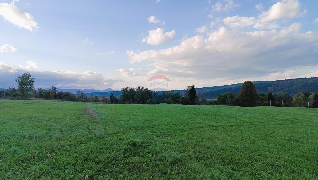 Image 6125028 - 4