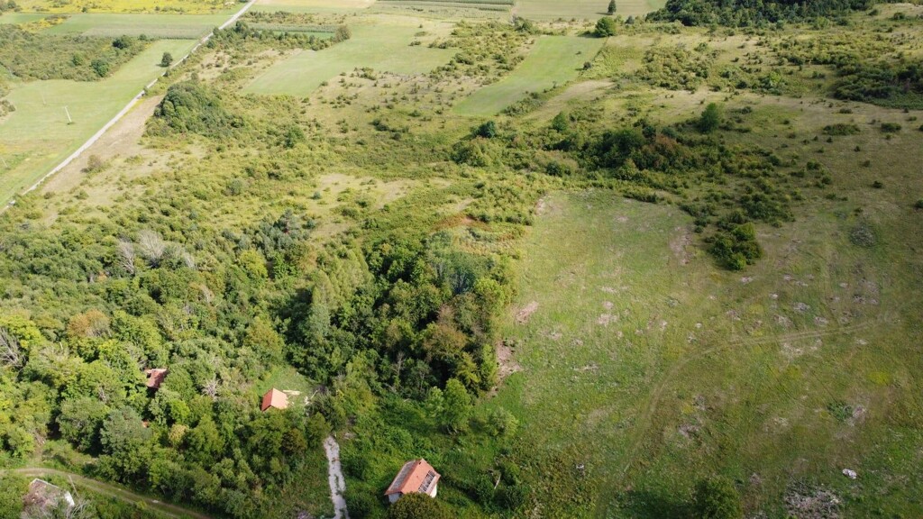 Image 6125028 - 21