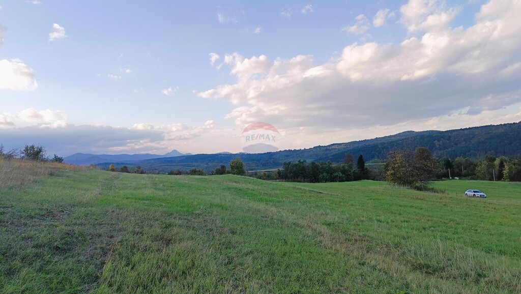 Image 6125028 - 5