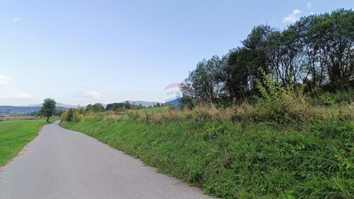 Thumbnail 6125028 - 9