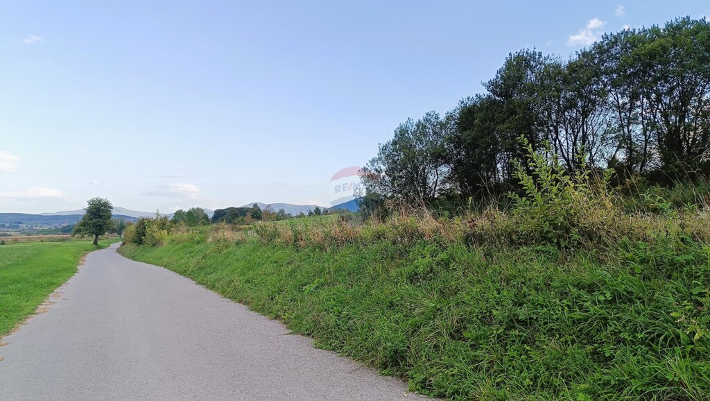 Image 6125028 - 9