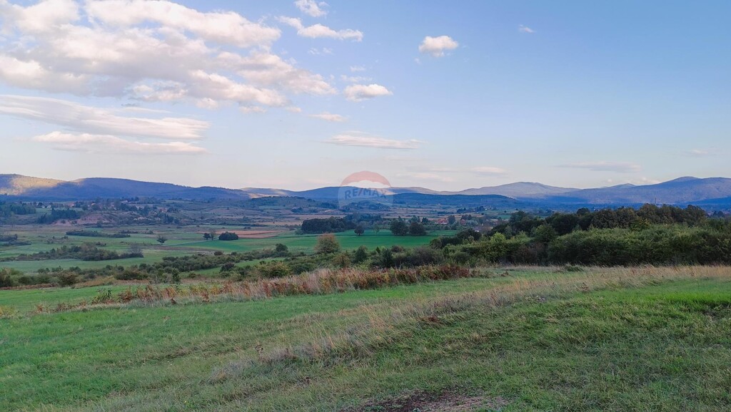 Image 6125028 - 1