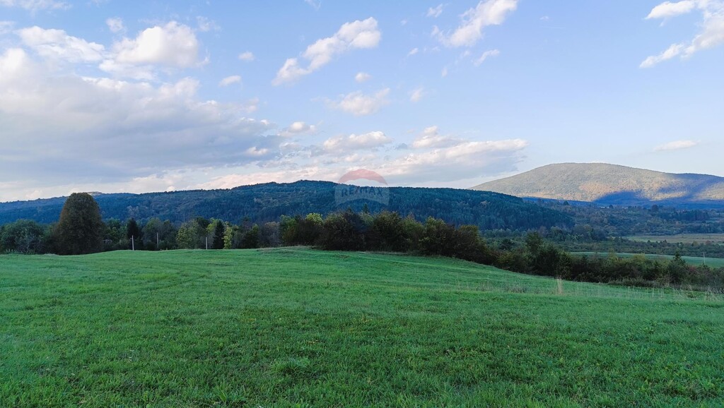 Image 6125028 - 2