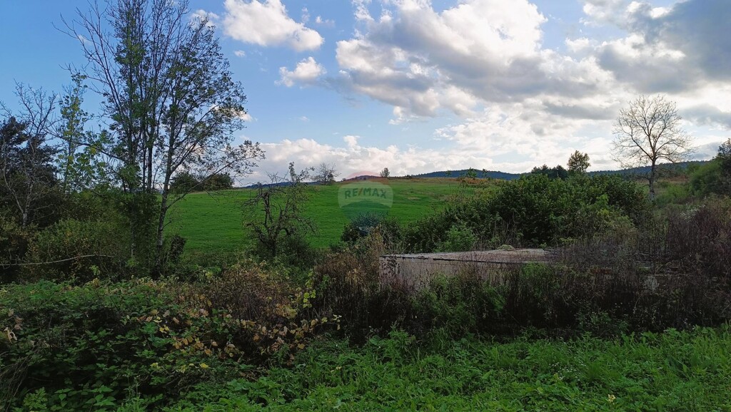 Image 6125028 - 12