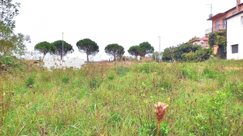 Thumbnail 6125033 - 1