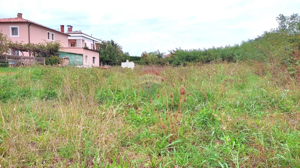 Image 6125033 - 3
