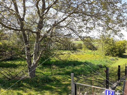 Stara cesta , Rugvica, 904,00 m2, 32.000,00 EUR