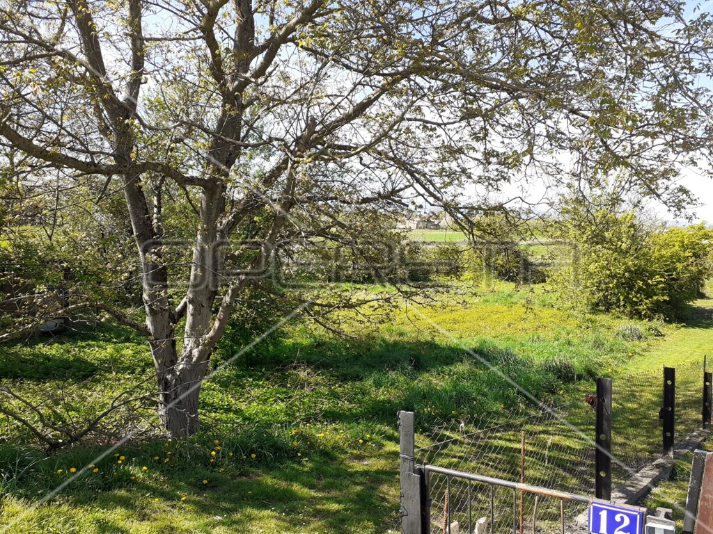 Image 6125510 - 1