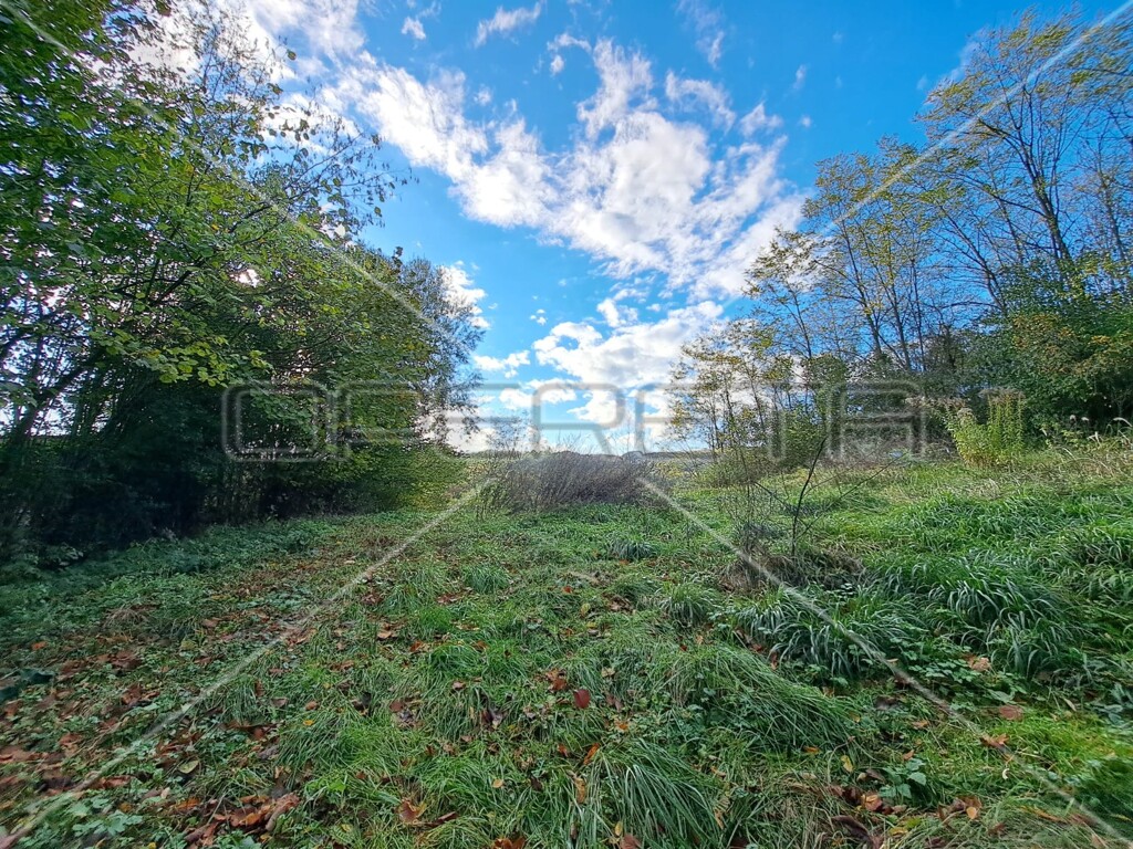 Image 6125514 - 3