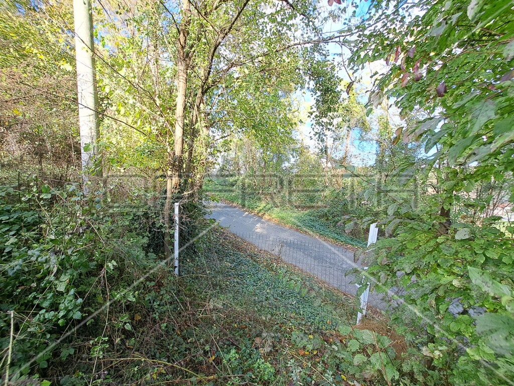 Image 6125514 - 9