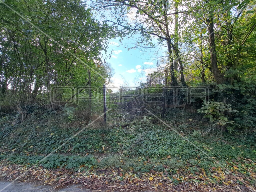 Image 6125514 - 6