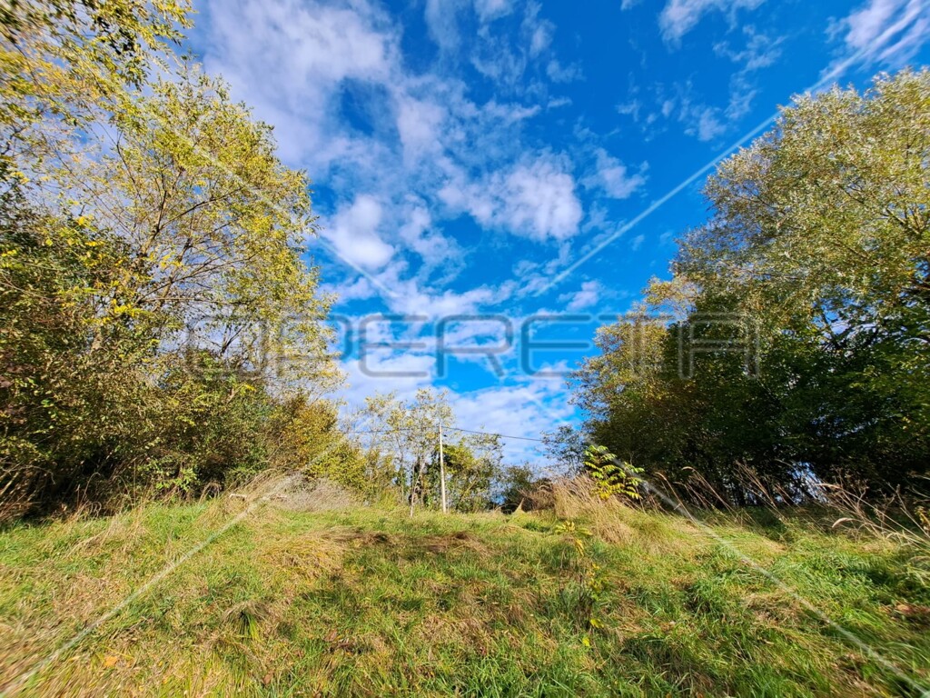 Image 6125514 - 4