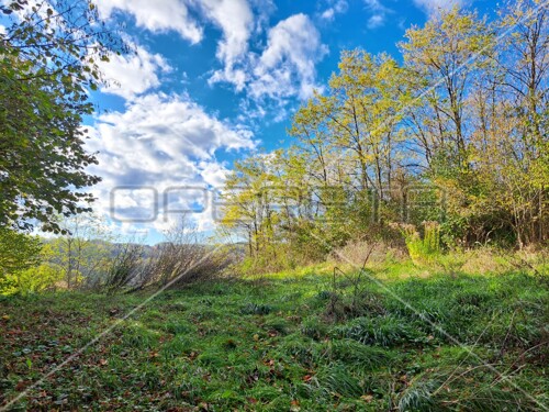 Hrebine , Hrebine, 2.877,00 m2, 39.000,00 EUR