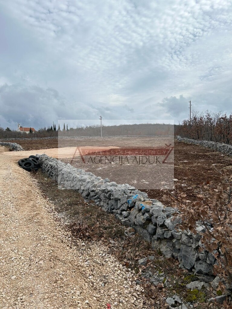 Image 6125641 - 8
