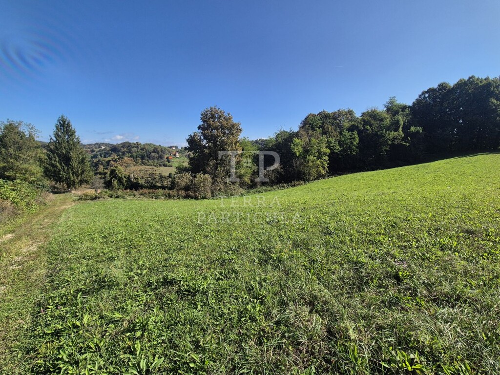 Image 6126115 - 19