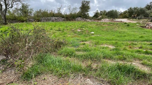 Thumbnail 6127001 - 1