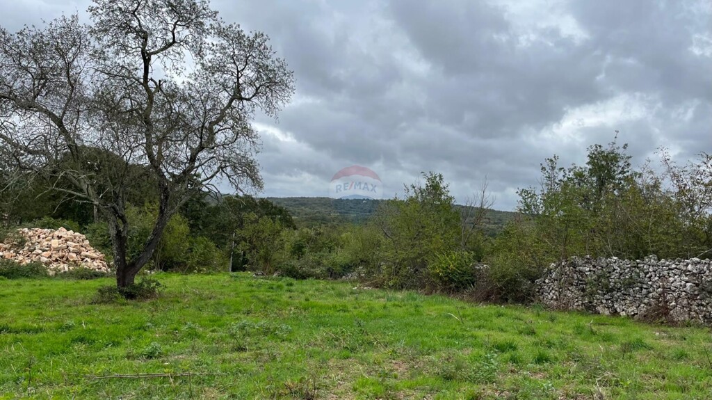 Image 6127001 - 2