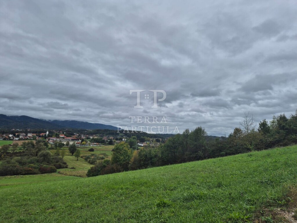 Image 6127342 - 11