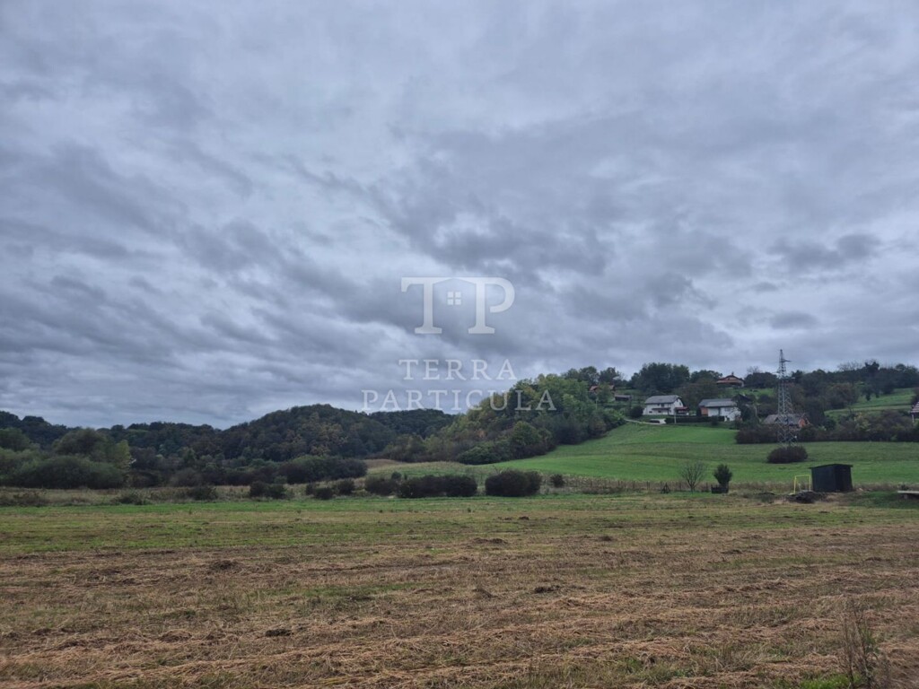 Image 6127342 - 10
