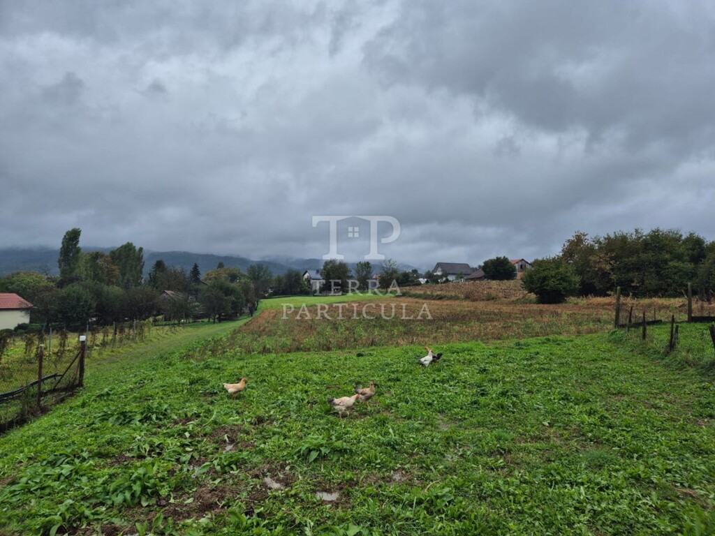 Image 6127343 - 7