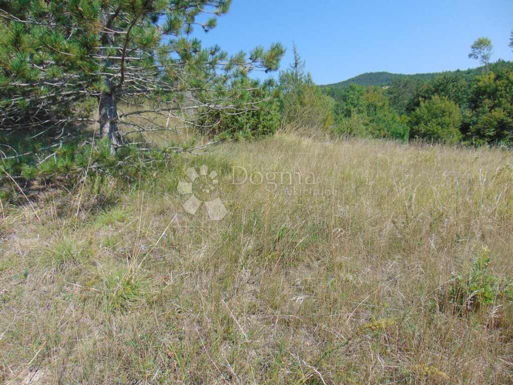 Image 6127385 - 11