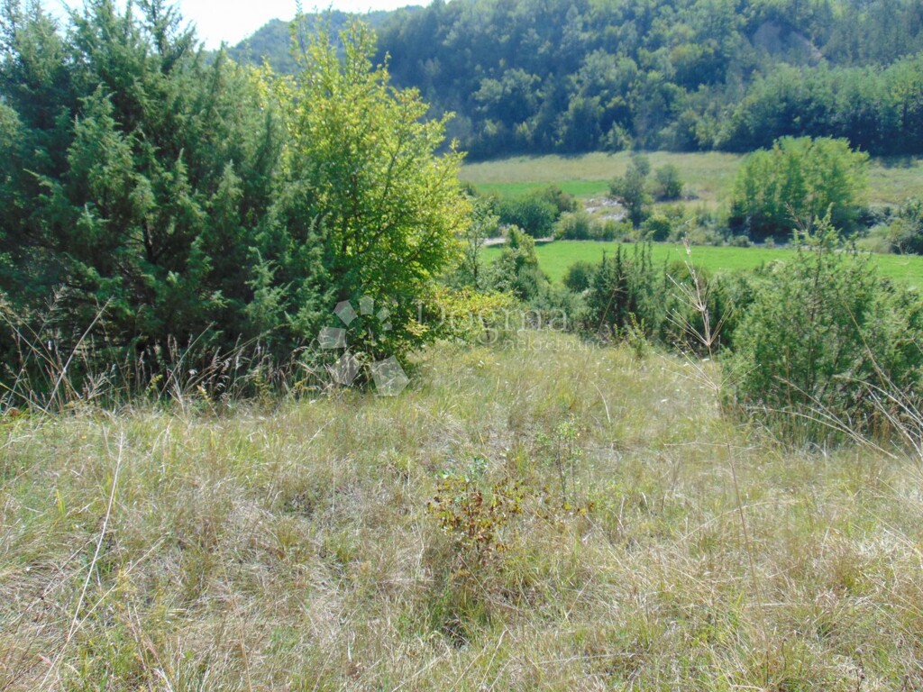 Image 6127385 - 7