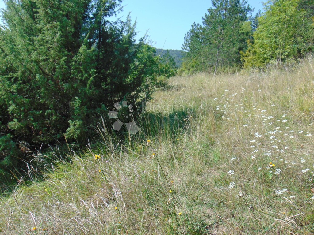 Image 6127385 - 8