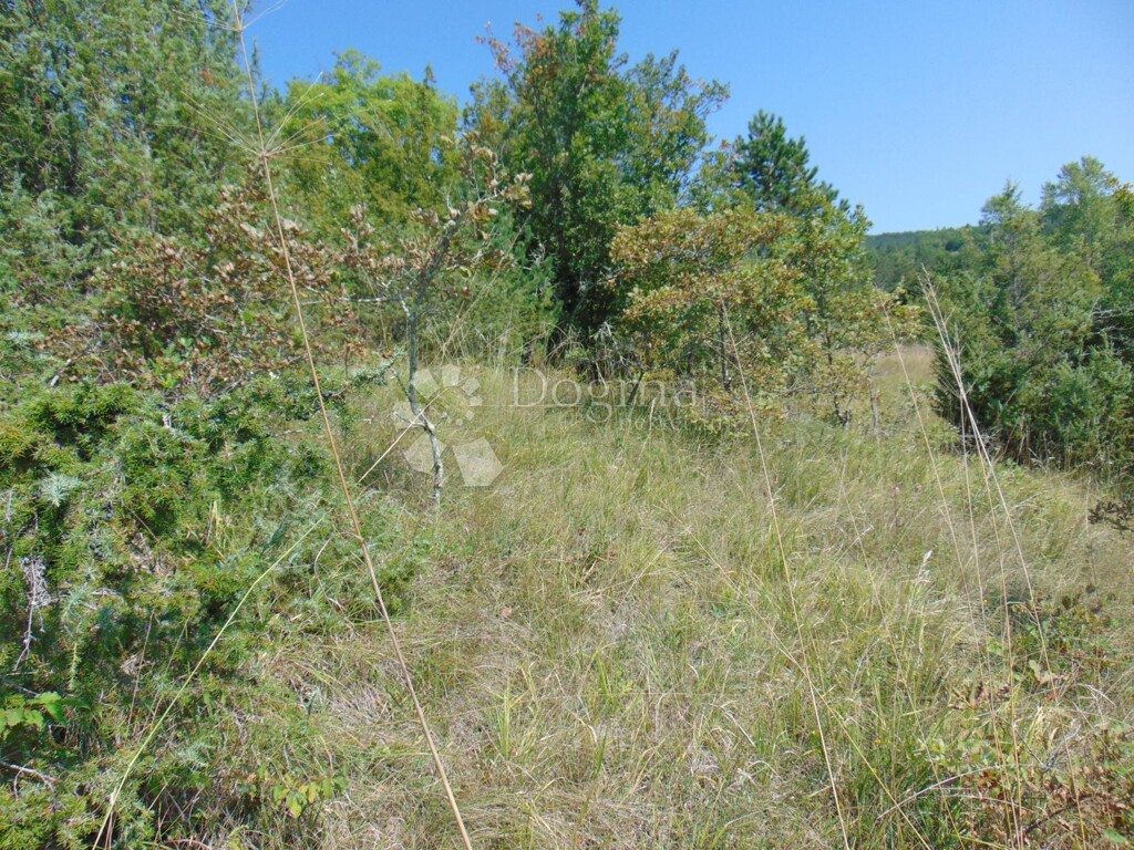 Image 6127385 - 9