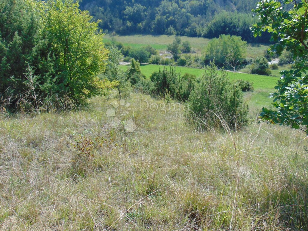 Image 6127385 - 5