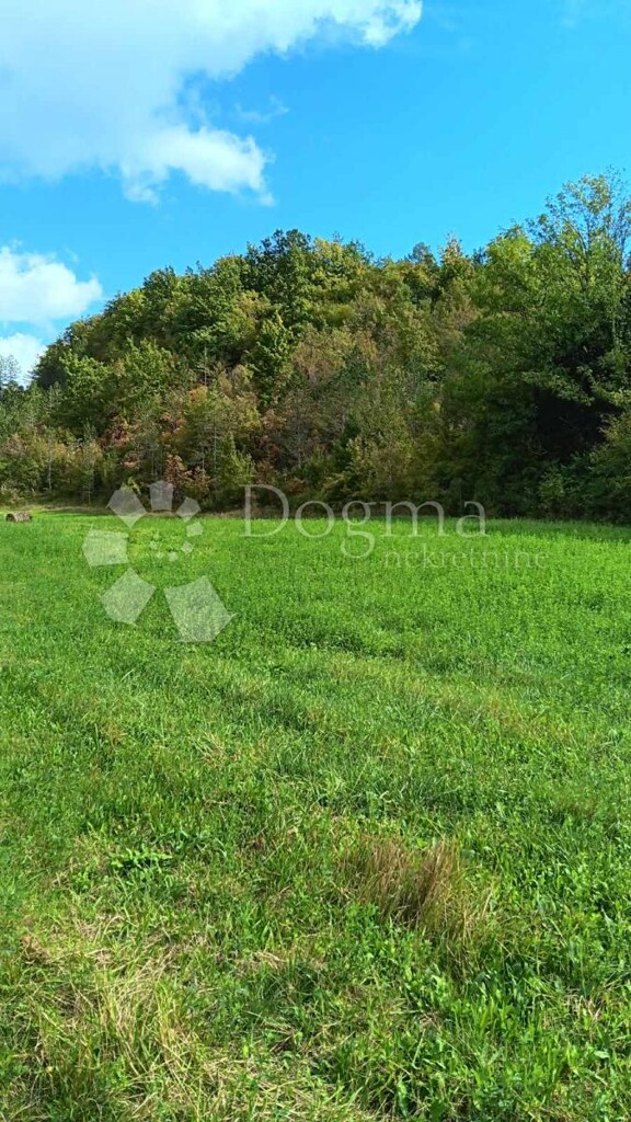 Image 6127385 - 1