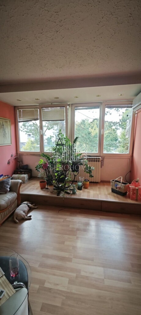 Image 6127422 - 2