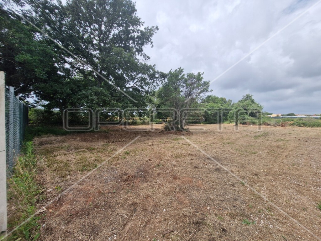 Image 6127529 - 1