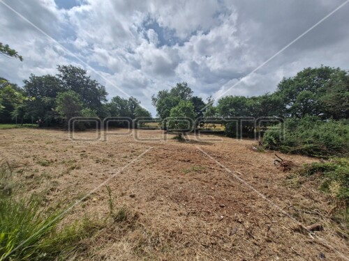 Jadreški, poljoprivredno zemljište 600m2, na mirnoj lokaciji, u blizini kuća
