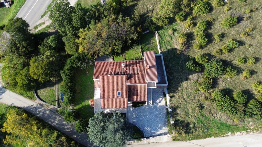 Image 6127578 - 4