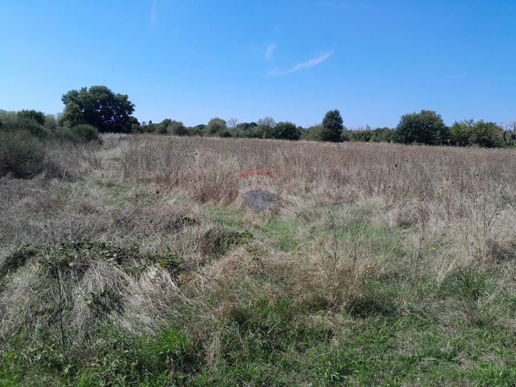 Image 6127616 - 3