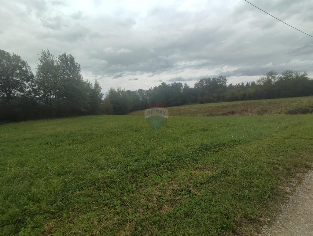 Image 6127627 - 1