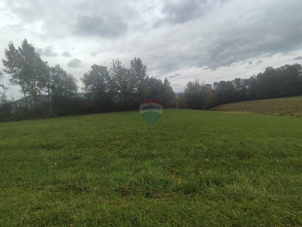 Image 6127627 - 4