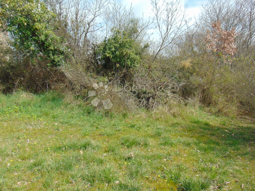 Image 6128315 - 4