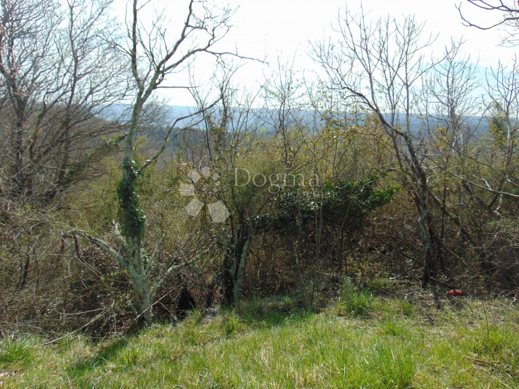 Image 6128315 - 2